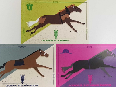 carte postale cheval