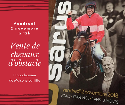 Vente de chevaux d'obstacle à l'hippodrome de Maisons-Laffitte