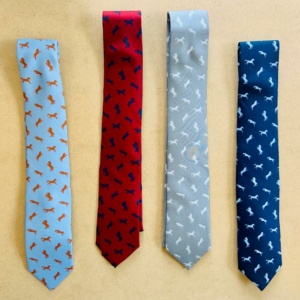 cravates en soie Maisons-Laffitte
