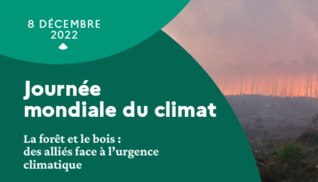 CONFÉRENCE DIGITALE : LA PREVENTION DES INCENDIES FACE AU RECHAUFFEMENT CLIMATIQUE